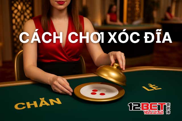 Cách Chơi Xóc Đĩa Online