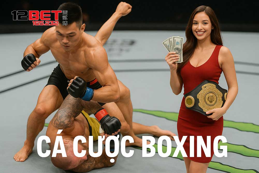 Hướng dẫn cá cược Boxing dễ thắng